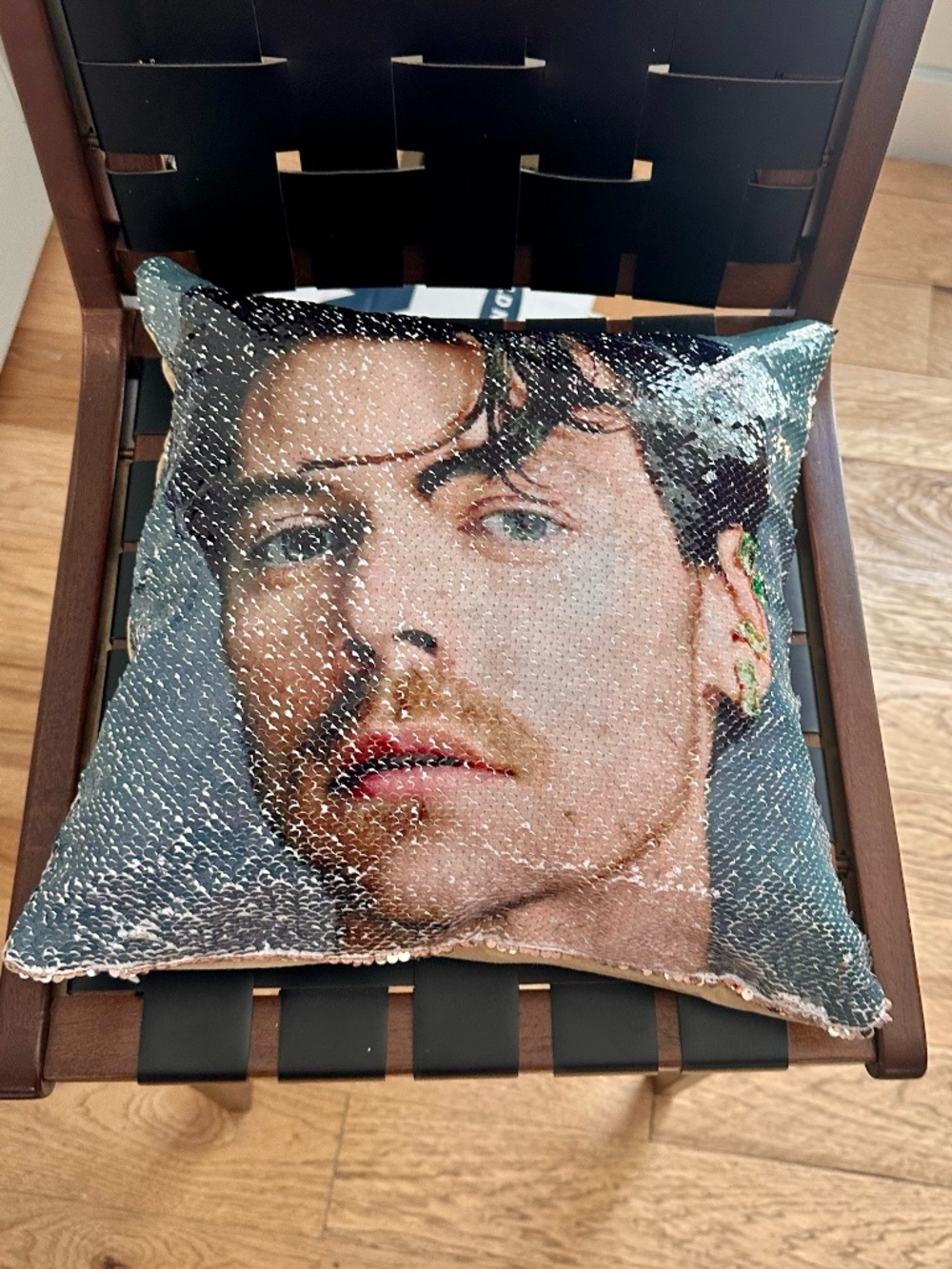 Harry Styles Reversible Sequin Flip Pillow